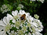 DSCF7438_R