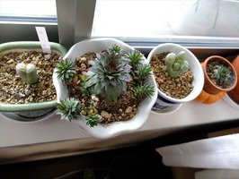 DSCF6081_R