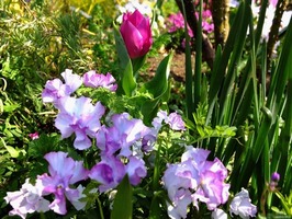 DSCF7826_R