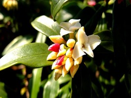 DSCF1120_R