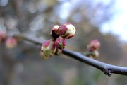 DSCF8953_R