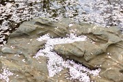 DSCF0651_R