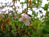 DSCF7232_R