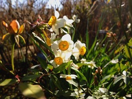 DSCF6612_R