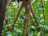 DSCF8237_R