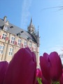 DSCF6437_R