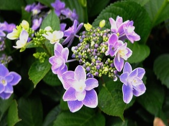 DSCF8333_R