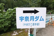 DSCF6186_R