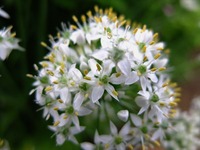 DSCF4807_R