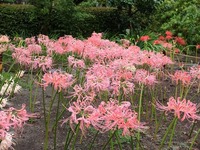 DSCF4947_R