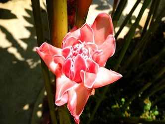 DSCF7886_R
