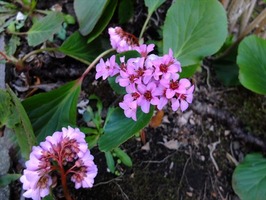 DSCF7383_R