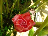 DSCF7884_R