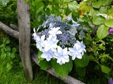 DSCF8601_R