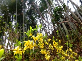 DSCF1492_R