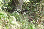 DSCF6934_R
