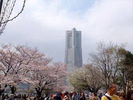 DSCF7958_R