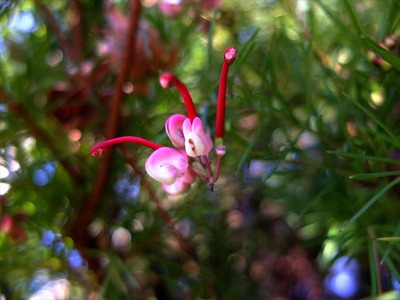 DSCF6636_R