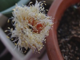 DSCF6076_R