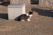 DSCF8433_R