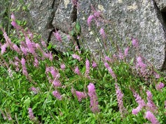 DSCF9500_R