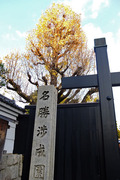 DSCF8625_R