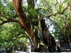 DSCF9557_R