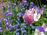 DSCF6950_R