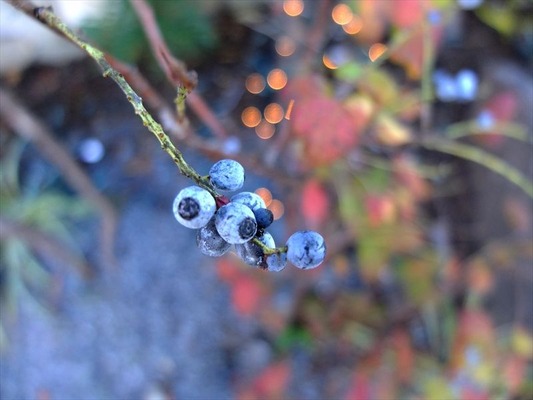 DSCF5830_R