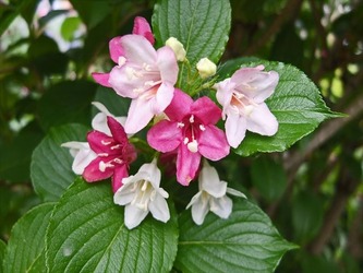 DSCF7369_R