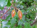 DSCF8257_R