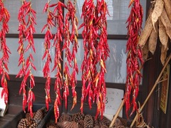 DSCF9457_R