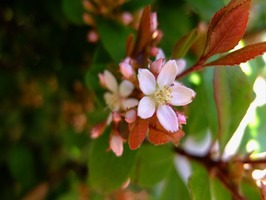 DSCF1853_R