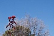 DSCF8940_R
