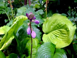 DSCF8948_R