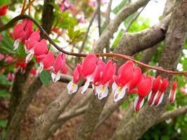 DSCF2318_R