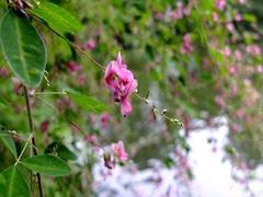 DSCF9395_R