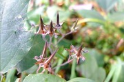 DSCF6794_R