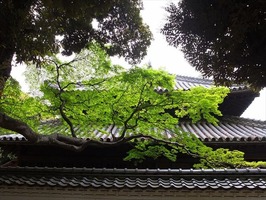 DSCF2392_R