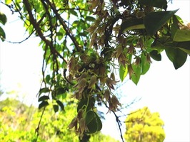 DSCF2106_R