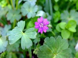 DSCF1843_R