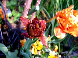 DSCF1943_R
