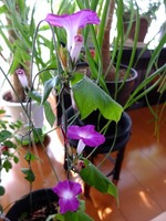 DSCF7410_R