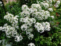 DSCF4805_R