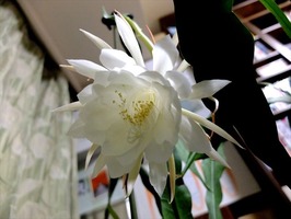 DSCF3806_R