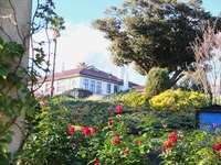 DSCF6119_R