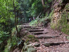 DSCF9499_R