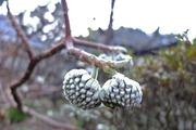 DSCF8770_R