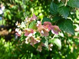 DSCF7837_R