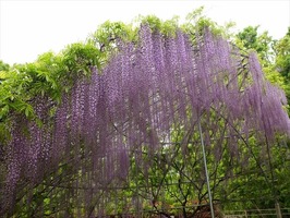 DSCF2204_R
